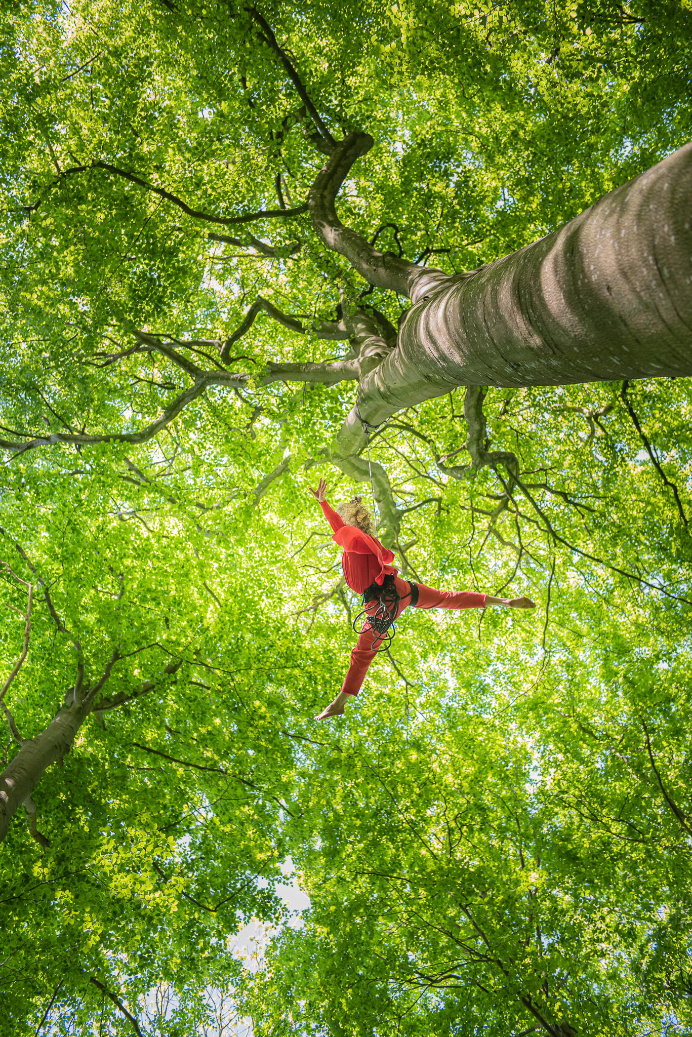 Nysirkus-kompaniet Acting for climate har som mål å inspirere til en bærekraftig fremtid gjennom sitt arbeid. I prosjektet BARK blandes nysirkus, dans og musikk med klimavitenskap og skogens iboende styrke. Foto: Cosmin Cirstea.